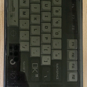 레오폴드 FC900RBT 갈축 커스텀키캡 이미지