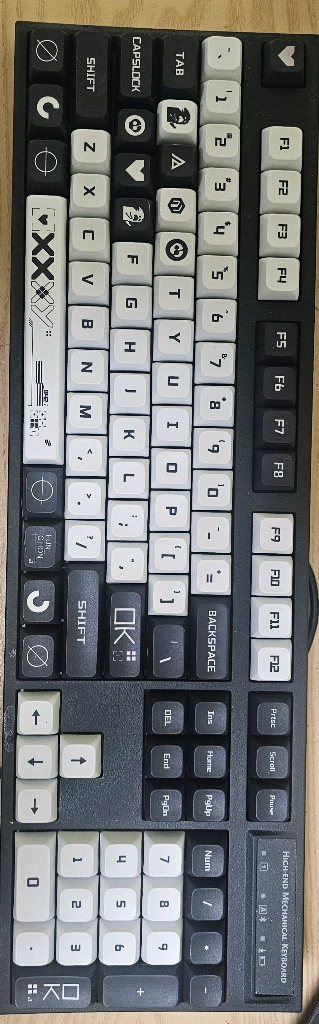 레오폴드 FC900RBT 갈축 커스텀키캡 이미지