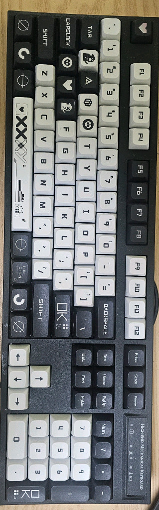 레오폴드 FC900RBT 갈축 커스텀키캡 이미지