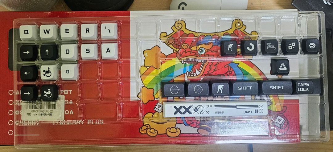 레오폴드 FC900RBT 갈축 커스텀키캡 이미지