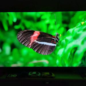 삼성 65인치 UHD 4K 스마트 TV