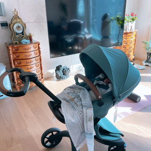 스토케 익스플로리 X 유모차 이미지