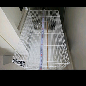 앵무새 날림장700