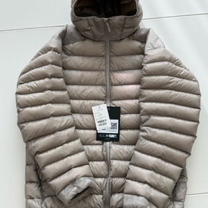 아크테릭스 세륨 후디 룬 XL