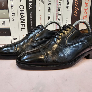 테스토니 남성 로퍼 구두 245