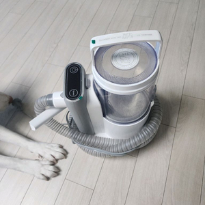 강아지용품 이미지