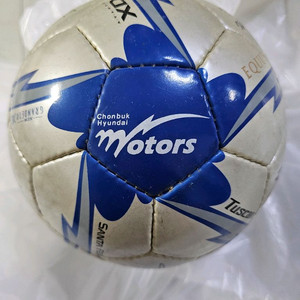 축구공 사인 볼