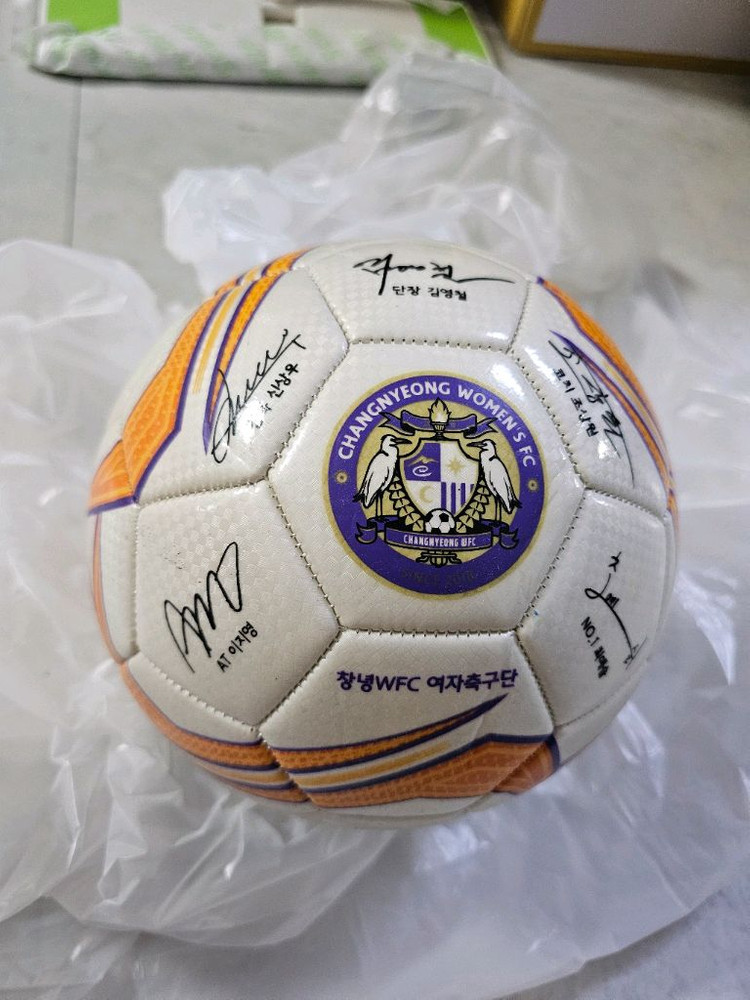 축구공 사인 볼 이미지