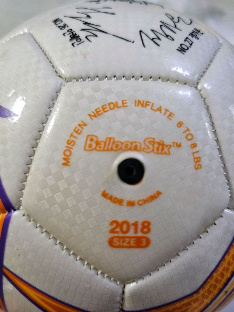 축구공 사인 볼 이미지