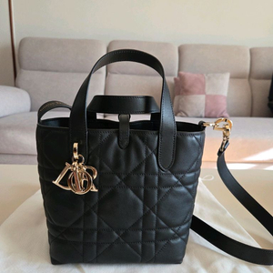 디올 뚜주흐 버티컬 토트백 스몰