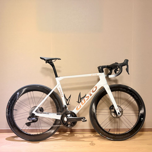 거스토 코브라 울테그라di2, WTO60휠셋