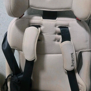 순성 빌리 카시트