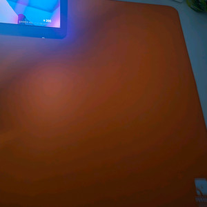 콰오아 페르세우스 프리미엄 XXL 팝니다.