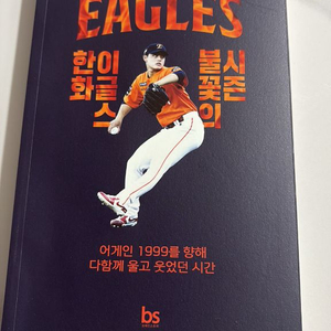 한화이글스 불꽃의 시즌