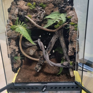 파충류 유리 비바리움 사육장 세트