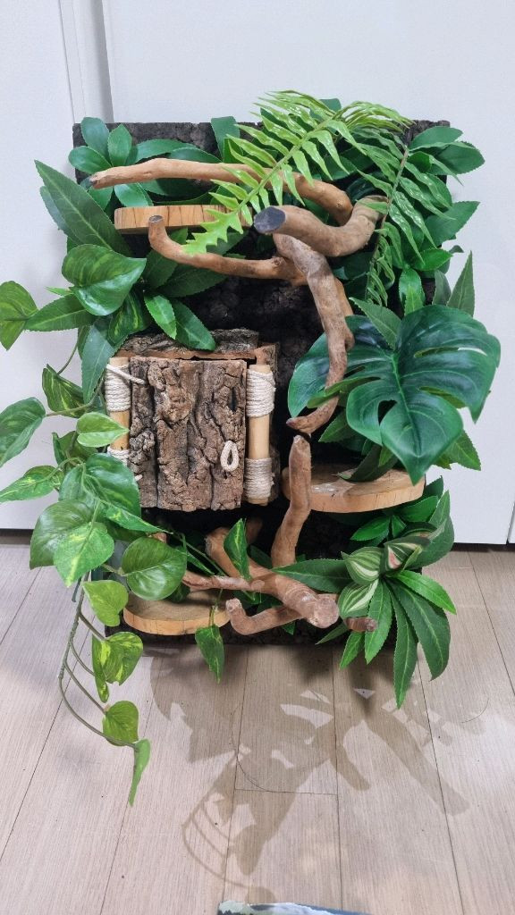 파충류 유리 비바리움 사육장 세트--1