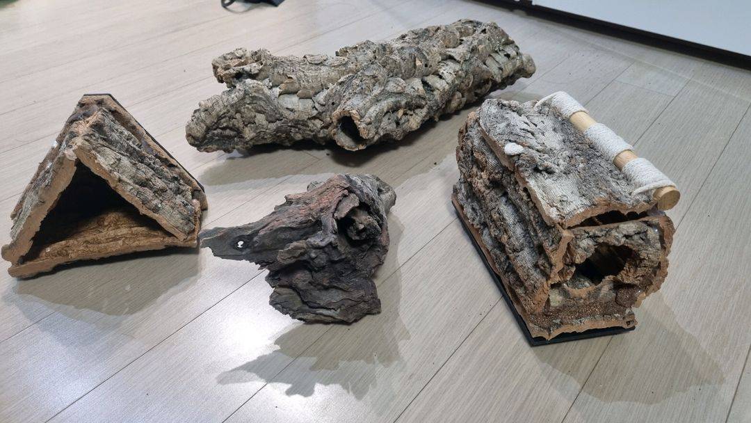 파충류 유리 비바리움 사육장 세트--2