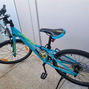 자이언트 리브 인챈트 24인치 아동용 자전거