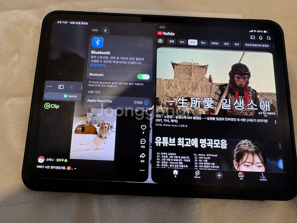 아이패드 m5 11프로 셀룰러 256--4