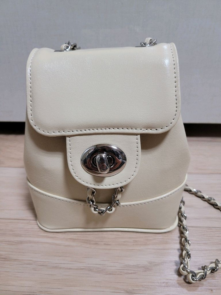 레이드백 미니백 팝니다 이미지