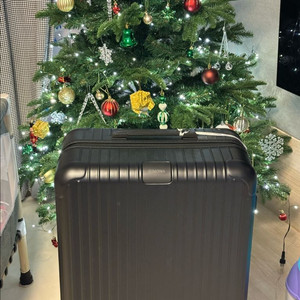 리모와 에센셜 캐리어 L