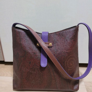 에트로 숄더백 팝니다