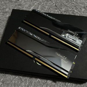 G.SKILL DDR5-6400 CL32 ROYAL 실버 패키지 (64GB(32Gx2)) 지스킬 로얄 실버 64g