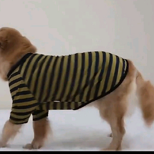 7XL 대형견옷 면티셔츠