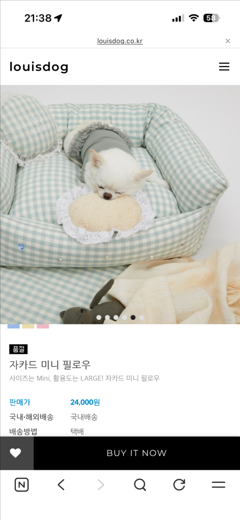 루이독 필로우--4