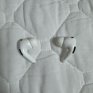 에어팟 프로 1세대 유닛, 본체