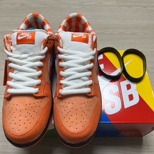나이키 덩크 SB 로우 오렌지 랍스터 270 판매