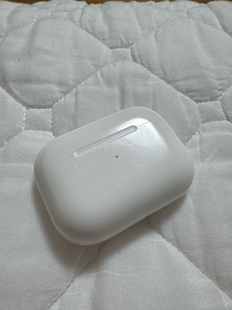 에어팟 프로 1세대 유닛, 본체--2