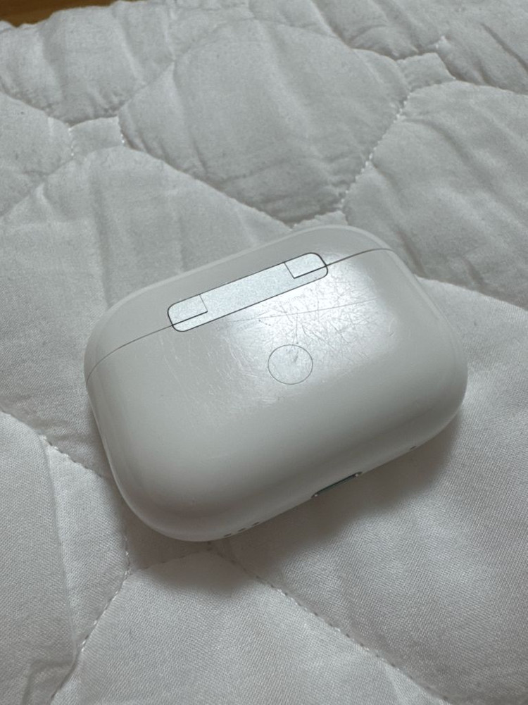 에어팟 프로 1세대 유닛, 본체--3