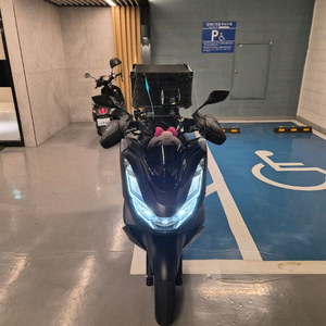 21년식 혼다 pcx abs