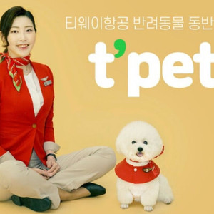 티웨이 강아지 유니폼 스카프