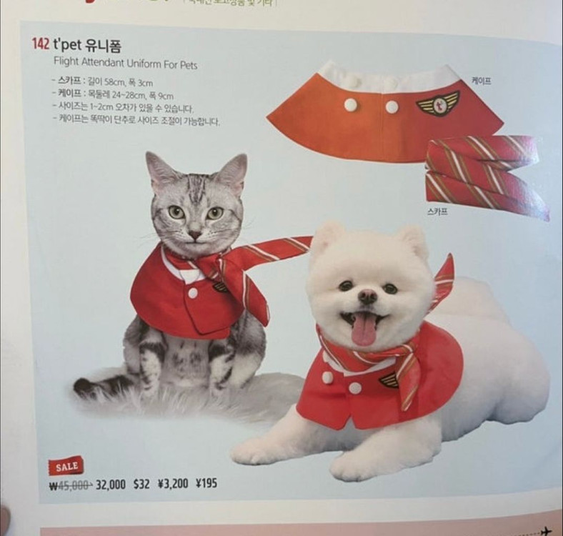 티웨이 강아지 유니폼 스카프--1