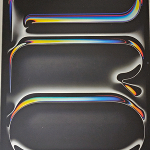 아이패드 프로 13 m4 256GB wifi 스페이스 블랙 색상 팝니다.