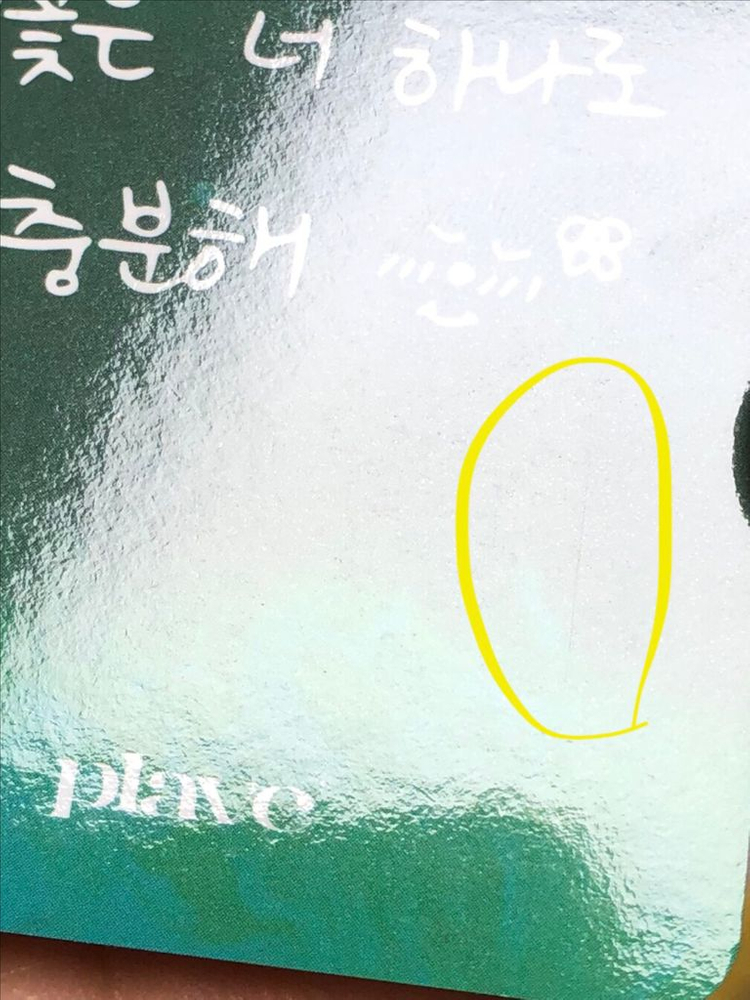 플레이브 밤비 포카 케타포 웨포럽 케이타운포유 이미지