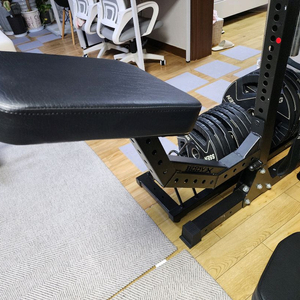 바디엑스 티바로우 채스트패드 어태치 팝니다.