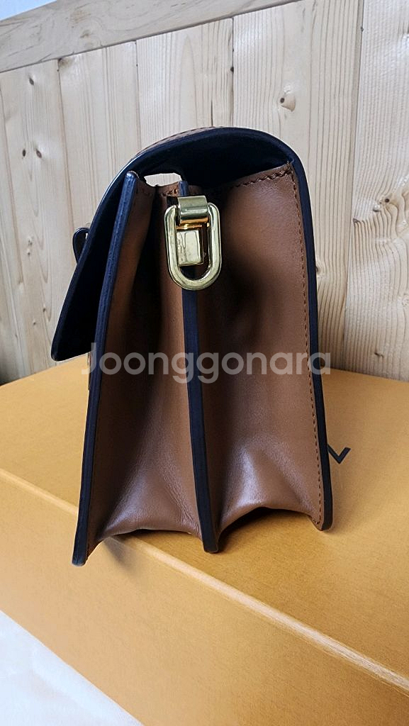 <네고 가능> 루이비통 도핀 MM--7