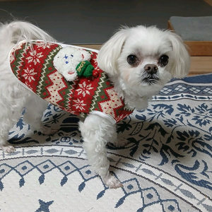 새상품 강아지 크리스마스 니트 상의