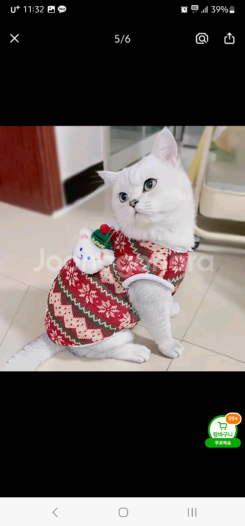 새상품 강아지 크리스마스 니트 상의--3