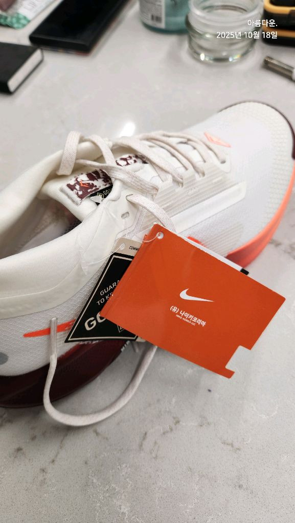 나이키 페가수스 트레일 5 GTX 러닝화 (3회 착용)--1