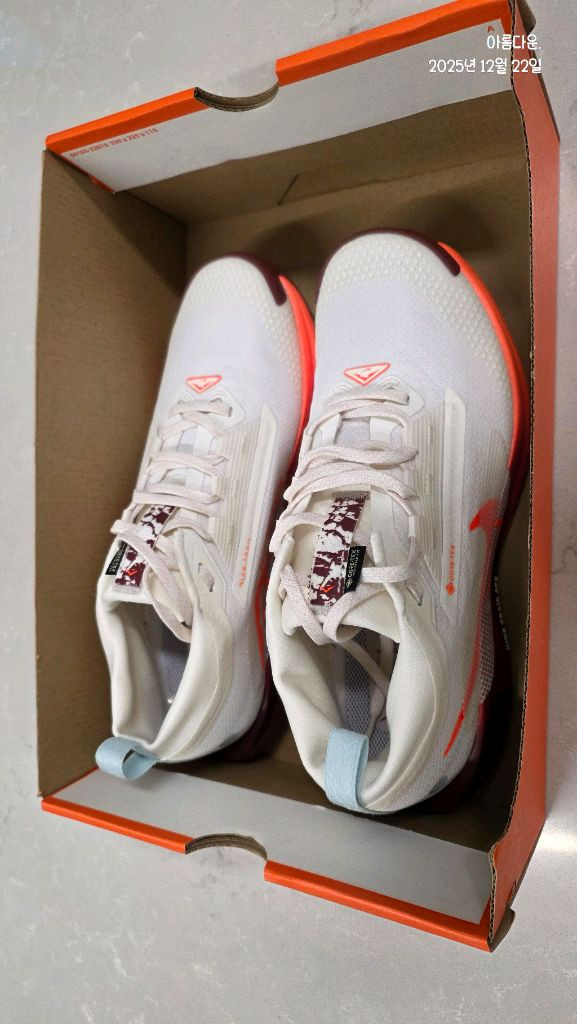 나이키 페가수스 트레일 5 GTX 러닝화 (3회 착용)--2