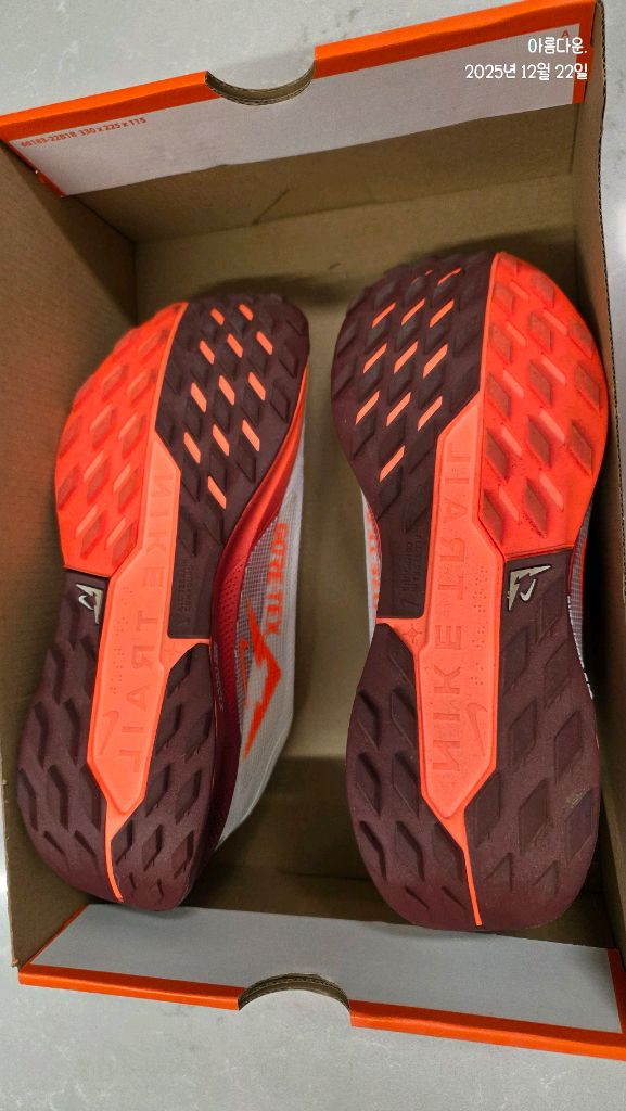 나이키 페가수스 트레일 5 GTX 러닝화 (3회 착용)--3