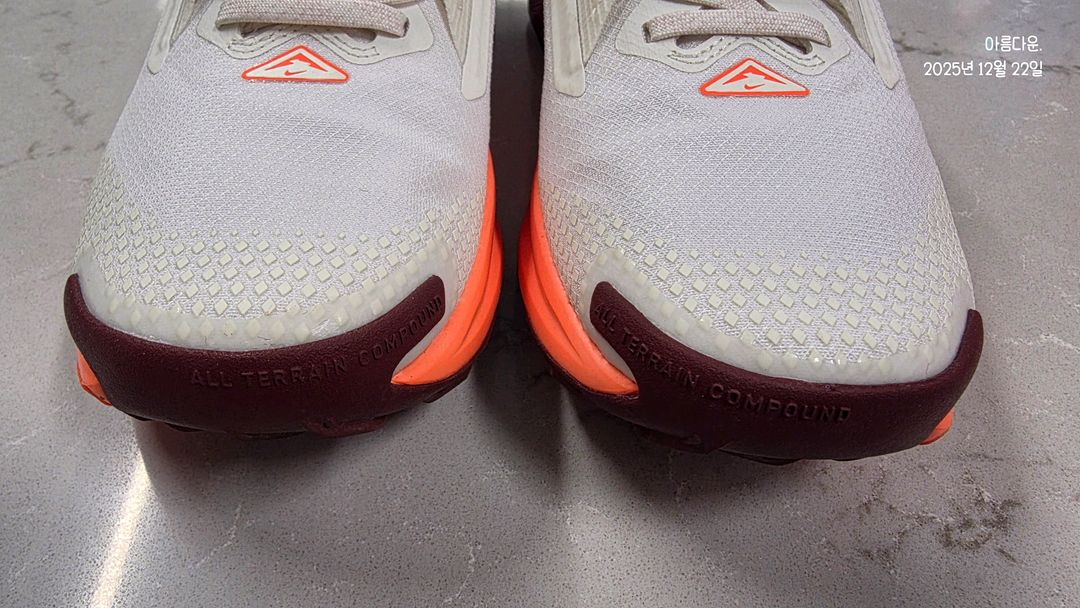 나이키 페가수스 트레일 5 GTX 러닝화 (3회 착용)--4