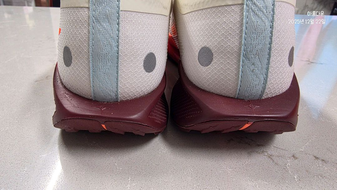 나이키 페가수스 트레일 5 GTX 러닝화 (3회 착용)--5