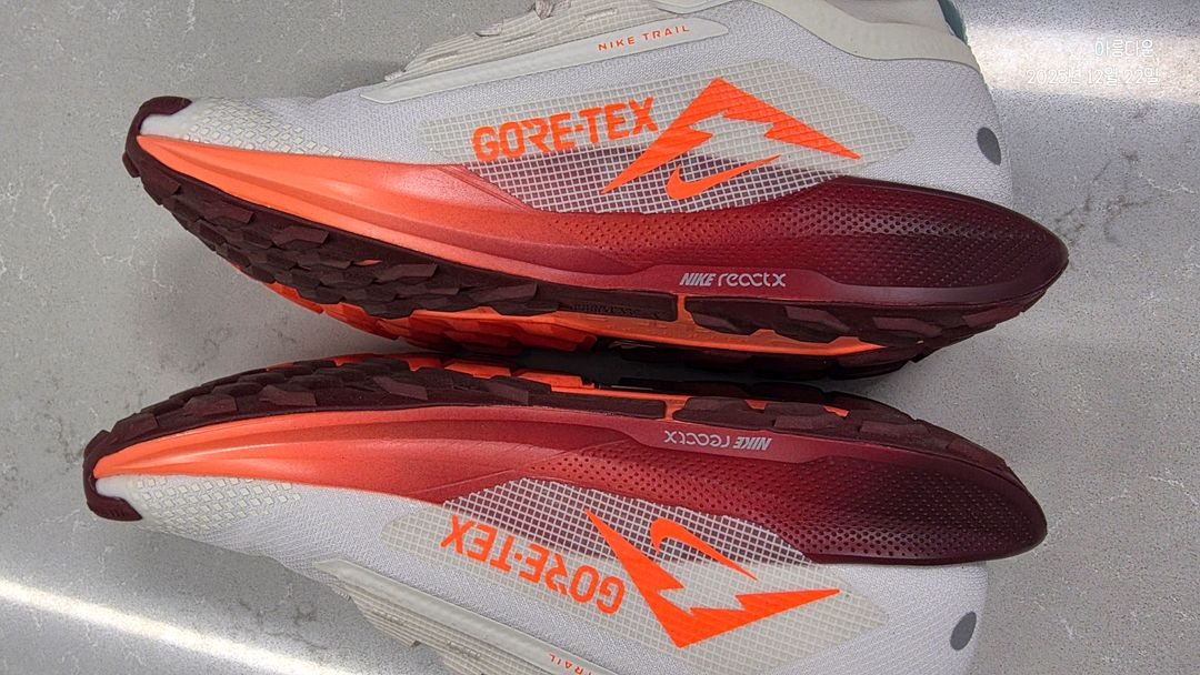 나이키 페가수스 트레일 5 GTX 러닝화 (3회 착용)--6