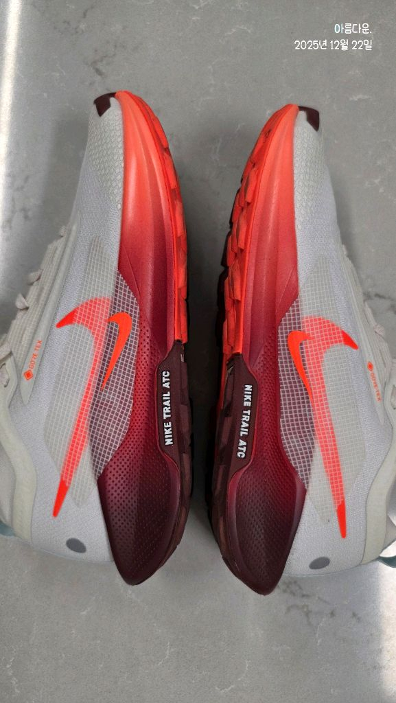 나이키 페가수스 트레일 5 GTX 러닝화 (3회 착용)--7