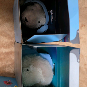 신세계 푸빌라 키링